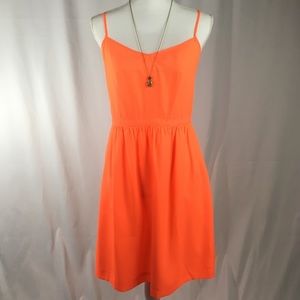 BRAND NEW w/o Tags J. Crew Factory Dress